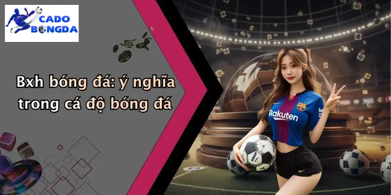 Bxh bóng đá: ý nghĩa trong cá độ bóng đá