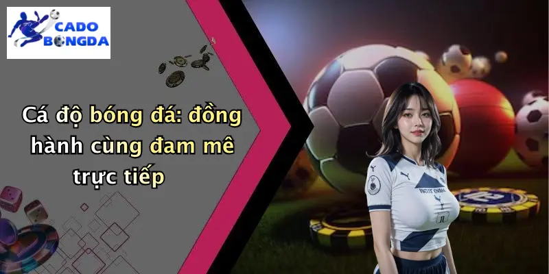 Trực tiếp bóng đá 2 Cá độ bóng đá: đồng hành cùng đam mê trực tiếp