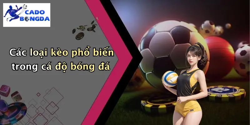 Giới thiệu 3 Các loại kèo phổ biến trong cá độ bóng đá
