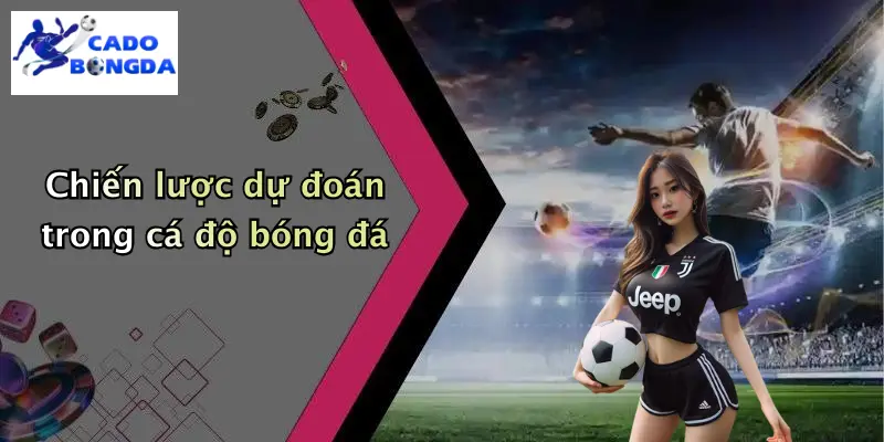 Dự đoán 3 Chiến lược dự đoán trong cá độ bóng đá