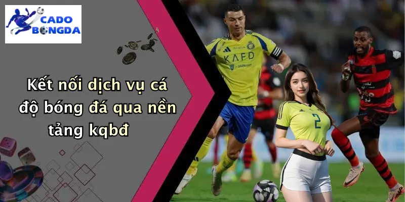 Kết nối dịch vụ cá độ bóng đá qua nền tảng kqbđ