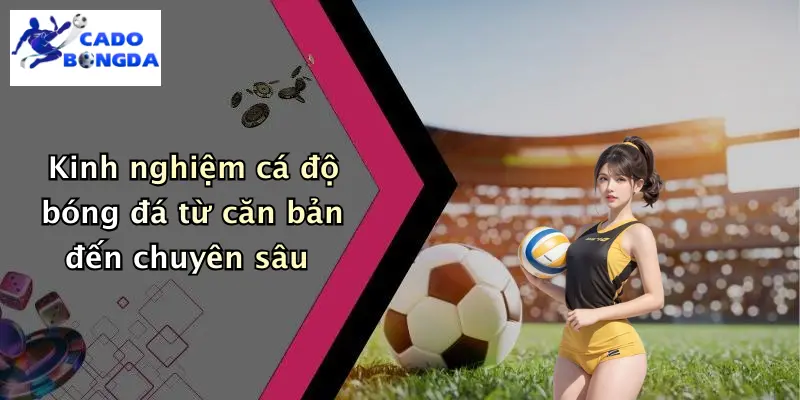 Cá Độ Bóng Đá