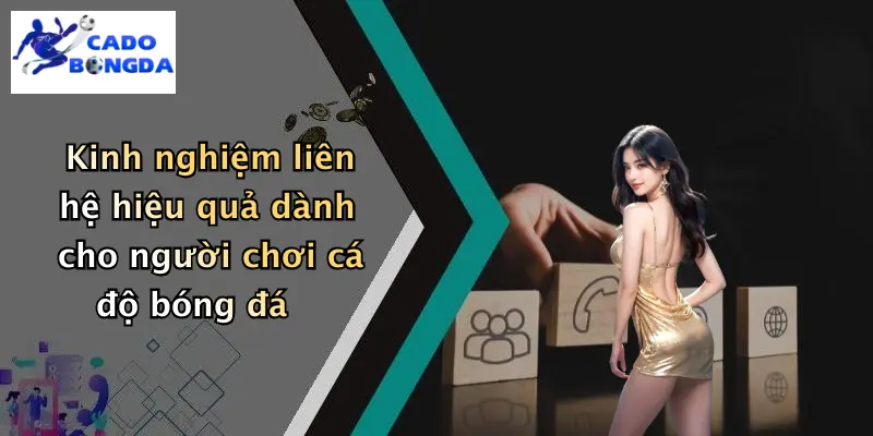 Liên hệ 4 Kinh nghiệm liên hệ hiệu quả dành cho người chơi cá độ bóng đá