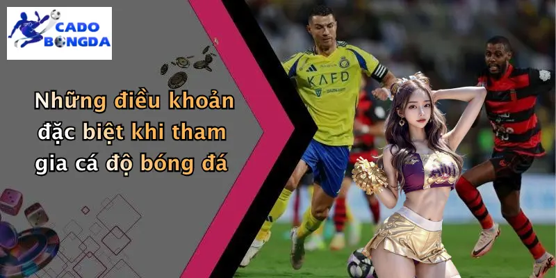 điều khoản điều kiện 3 Những điều khoản đặc biệt khi tham gia cá độ bóng đá
