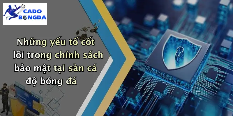 chính sách bảo mật 2 Những yếu tố cốt lõi trong chính sách bảo mật tại sàn cá độ bóng đá