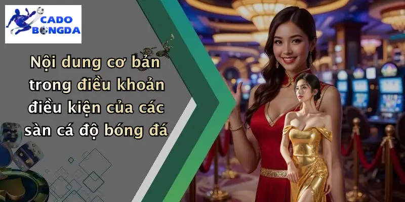 điều khoản điều kiện 2 Nội dung cơ bản trong điều khoản điều kiện của các sàn cá độ bóng đá