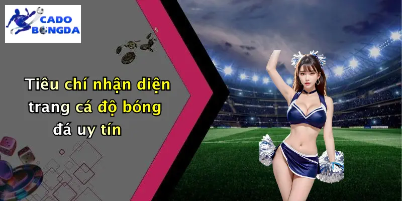 Cá Độ Bóng Đá