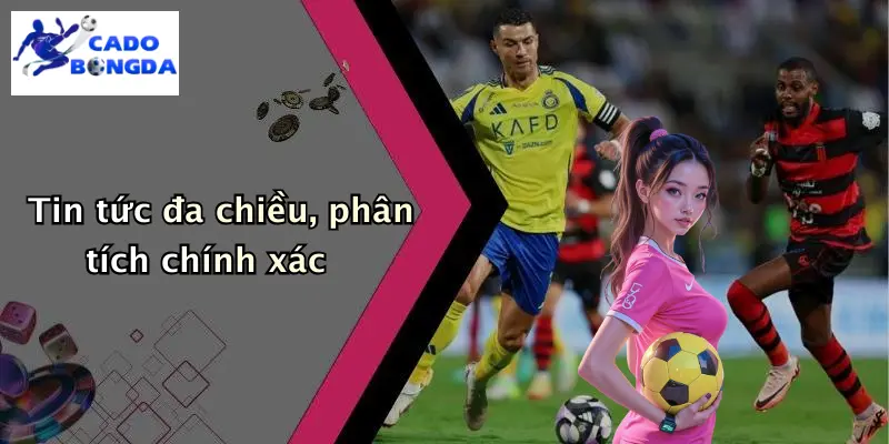 Tin tức đa chiều, phân tích chính xác