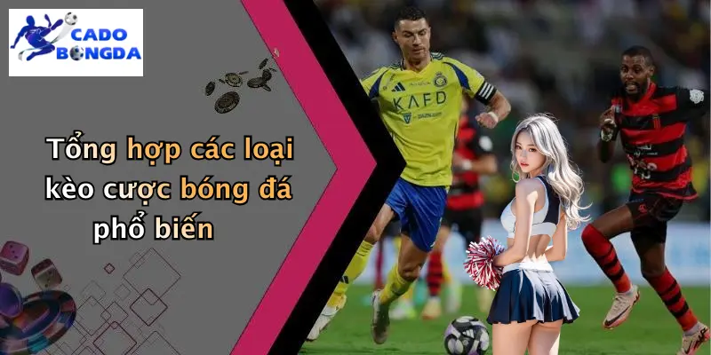 Cá Độ Bóng Đá