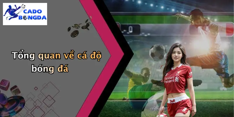 Giới thiệu 1 Tổng quan về cá độ bóng đá