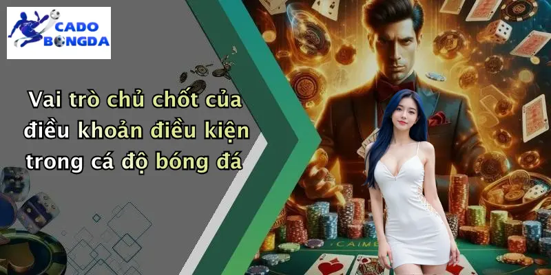 điều khoản điều kiện 1 Vai trò chủ chốt của điều khoản điều kiện trong cá độ bóng đá