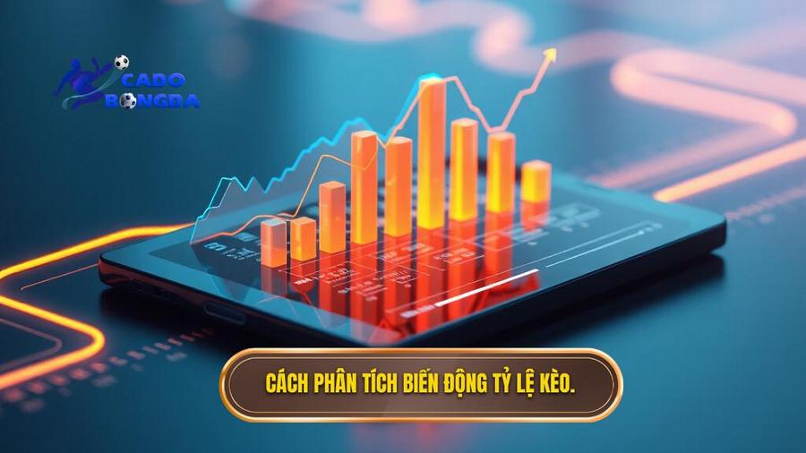 Soi kèo bóng đá chuẩn xác: Nghệ thuật làm chủ cuộc chơi tại sholamweiss.com 3 Cách phân tích biến động tỷ lệ kèo.