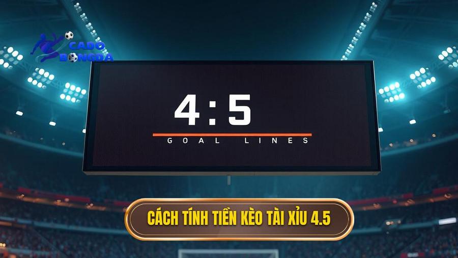 Kèo tài xỉu 4.5 toàn trận: Cẩm nang toàn tập và bí kíp chinh phục nhà cái 2 Cách tính tiền trong kèo tài xỉu 4.5 toàn trận