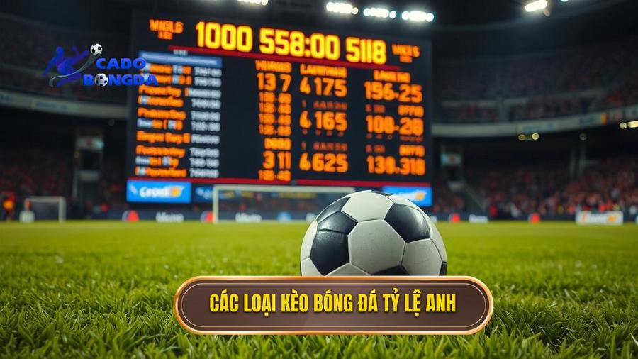 Cách đọc kèo bóng đá theo tỷ lệ Anh: Hướng dẫn chi tiết từ A-Z cho bet thủ 3 Phân loại các trường hợp trong cách đọc kèo bóng đá theo tỷ lệ Anh