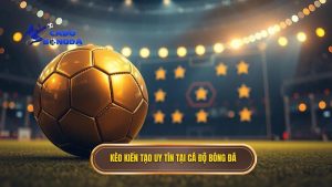 Kèo cược tổng số pha kiến tạo