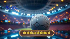Kèo tài xỉu 4.5 toàn trận