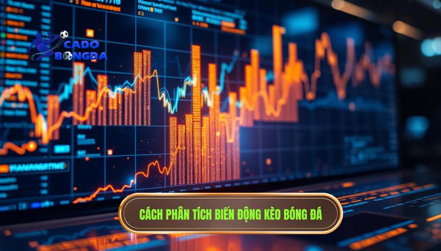 3. Phân tích biến động kèo: Khi con số biết nói