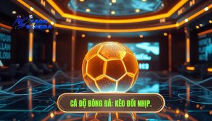 Kèo tài xỉu bắt đầu đổi nhịp