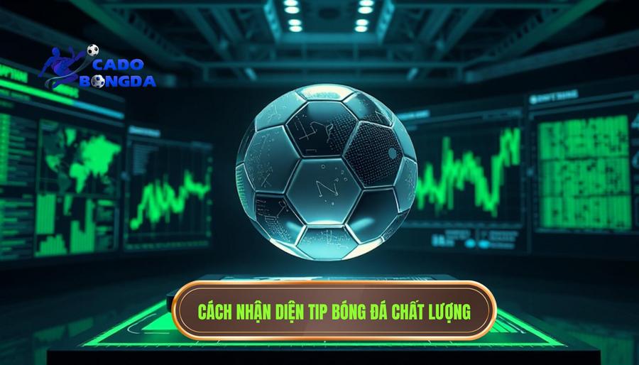 3. Cách nhận diện tip bóng đá chất lượng