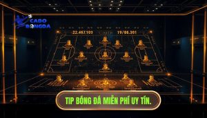 Tip bóng đá miễn phí: Hướng dẫn toàn tập để soi kèo bách chiến bách thắng